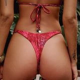 IVY Bikini Bottom - Untamed